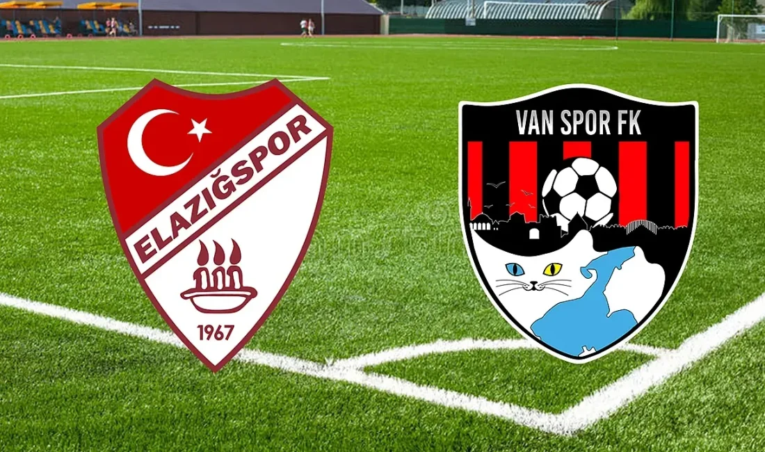 Elazığspor Vanspor FK maçı, 28 Mayıs 2025 tarihinde yaşanan olaylar
